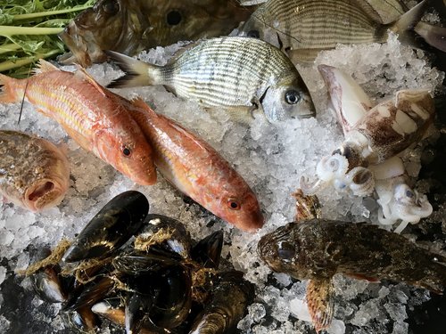 The Crescent Fish