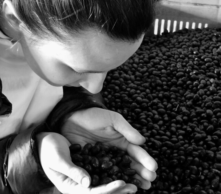 “But then, miraculously, there is olive oil.”-Mark Kurlansky